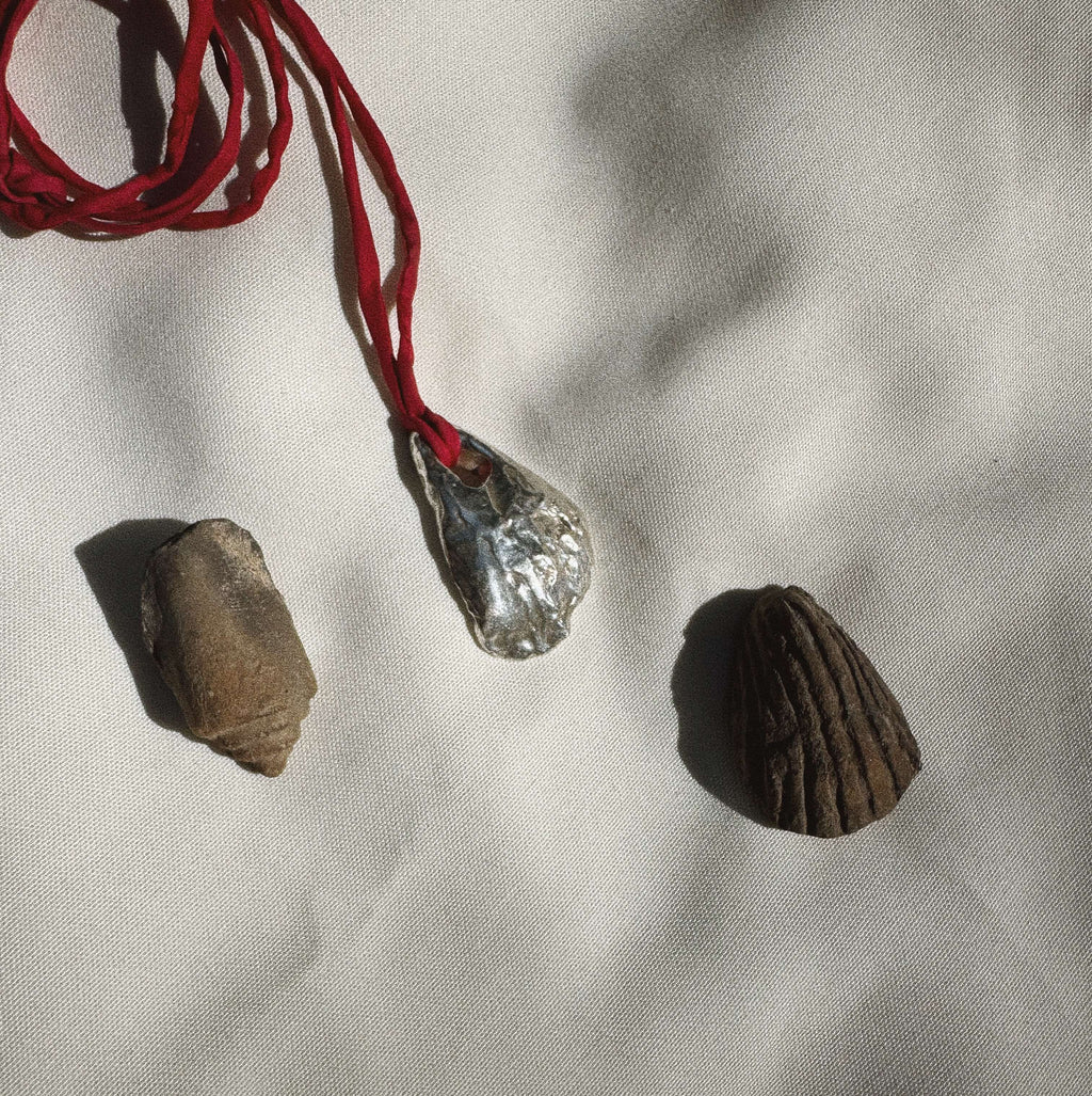 Ostra de Plata